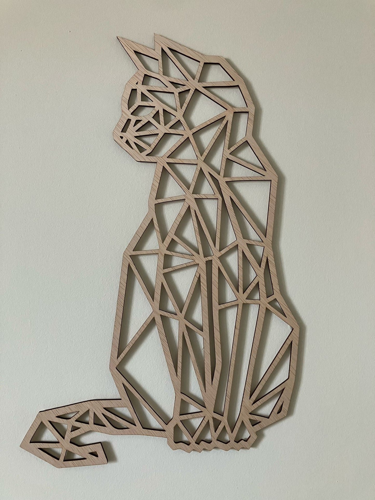 Geometrische kat